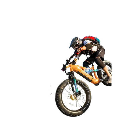 Unleash Your Adventure with the Puckipuppy 1000W Electric Bike | Repedal