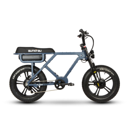 Dual Motor Electric Bike 220 Mile Range - Full Suspension Fat Tire E-Bike 1500W