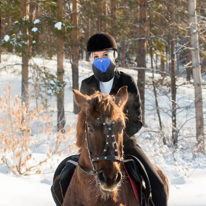 Person riding a horse in a snowy landscape with trees in the background