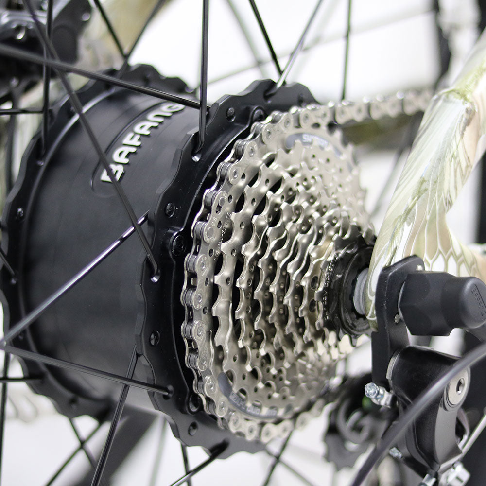 Close-up of a bicycle gear system with a visible brand name on the hub.