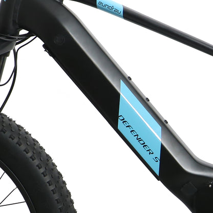 Close-up of a bicycle frame with 'eufaula' branding and 'Defender 5' text on a white background.