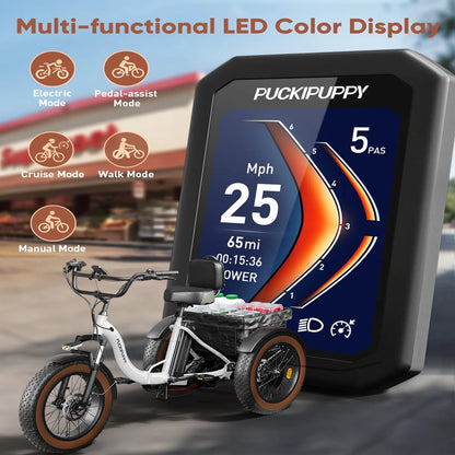 Multi-functional LED color display for a Puckipuppy electric tricycle with various modes shown.