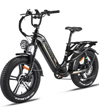 FREESKY WARRIOR PRO Electric Bike | 2000W, Dual Hydraulic Disc Brakes, 26" Fat Tires