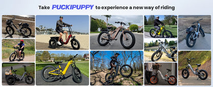 960W,48V 20AH Battery Adult Electric Bicycles,26" Fat Tire Full Suspension Ebike,28MPH Mountain Beach E Bike,7 Speed