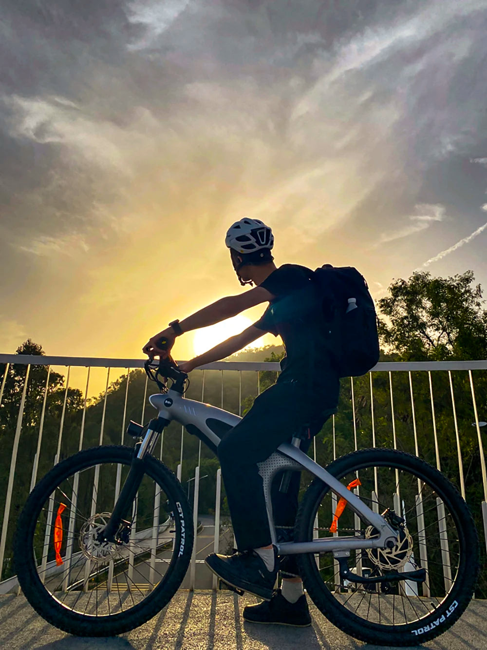 Person with a bicycle against a sunset sky