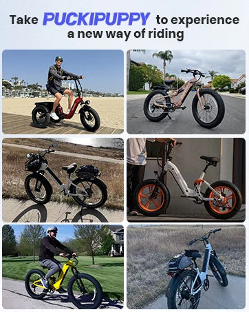 960W,48V 20AH Battery Adult Electric Bicycles,26" Fat Tire Full Suspension Ebike,28MPH Mountain Beach E Bike,7 Speed