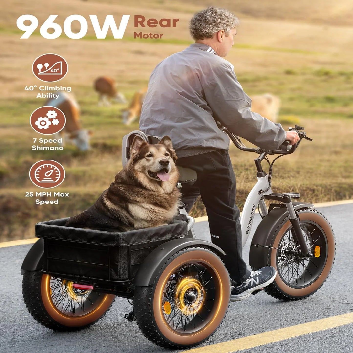 Person riding a bike with a dog in a trailer, featuring bike specifications on the left.
